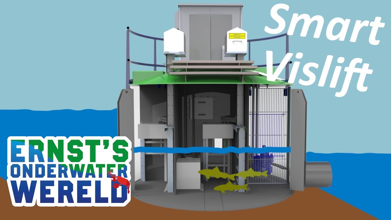 Met de SMART VISLIFT alle vissen weer op pad! #27 Ernst's OnderWaterWereld