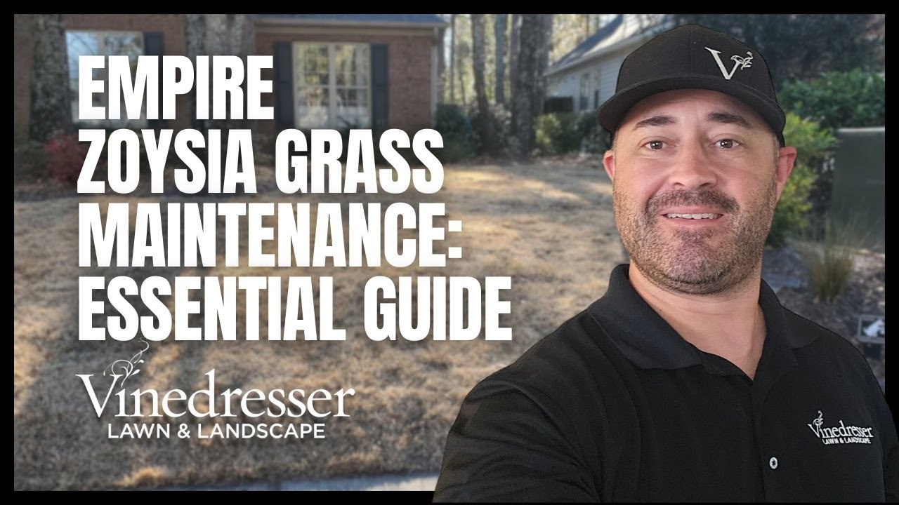 Empire Zoysia Grass Maintenance: Essential Guide