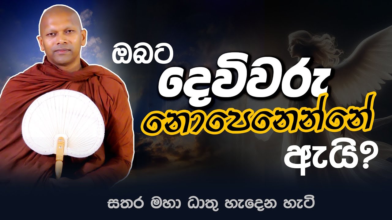 ඔබට දෙවිවරු නොපෙනෙන්නෙ ඇයි | Ven Handapanoda Nivathapa Thero