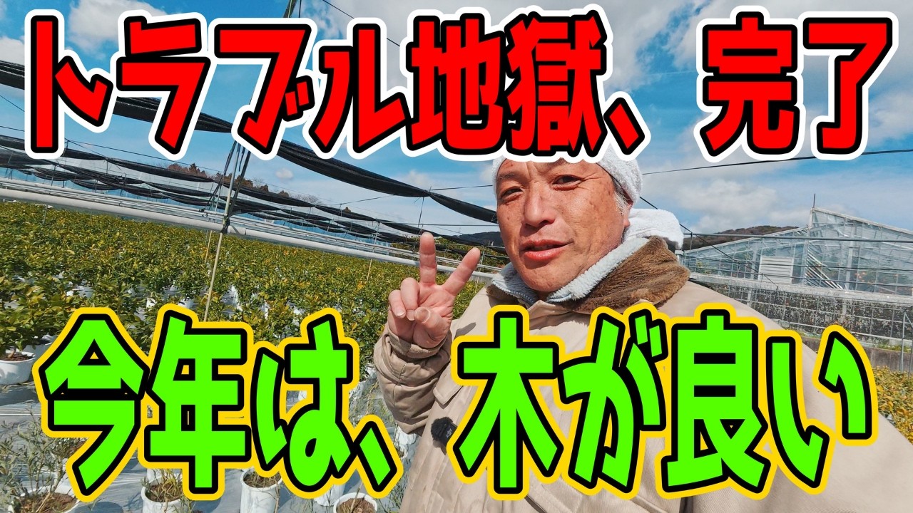 【まさか】鉢上げ、やってみたらこうなる!? Vlog③ Potting Adventure!