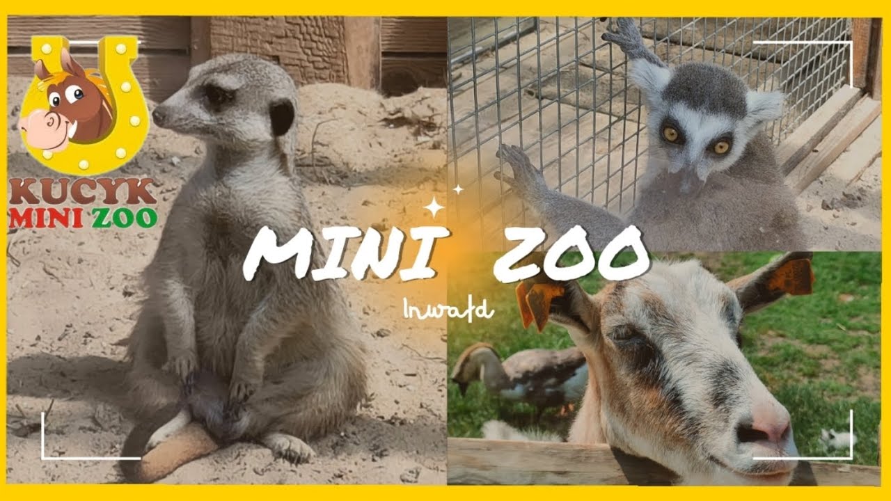 INWAŁD PARK ❗MINI ZOO KUCYK❗ Park Miniatur w Inwałdzie