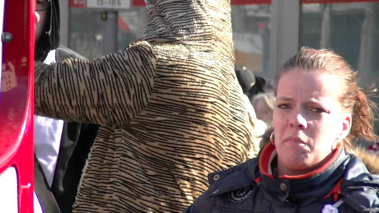 Niehler Karnevalszug 2015 Teil 1