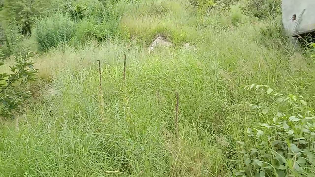 Ramgarh land for sale 60 Nali nice view 3 lakh Par nali. sale out