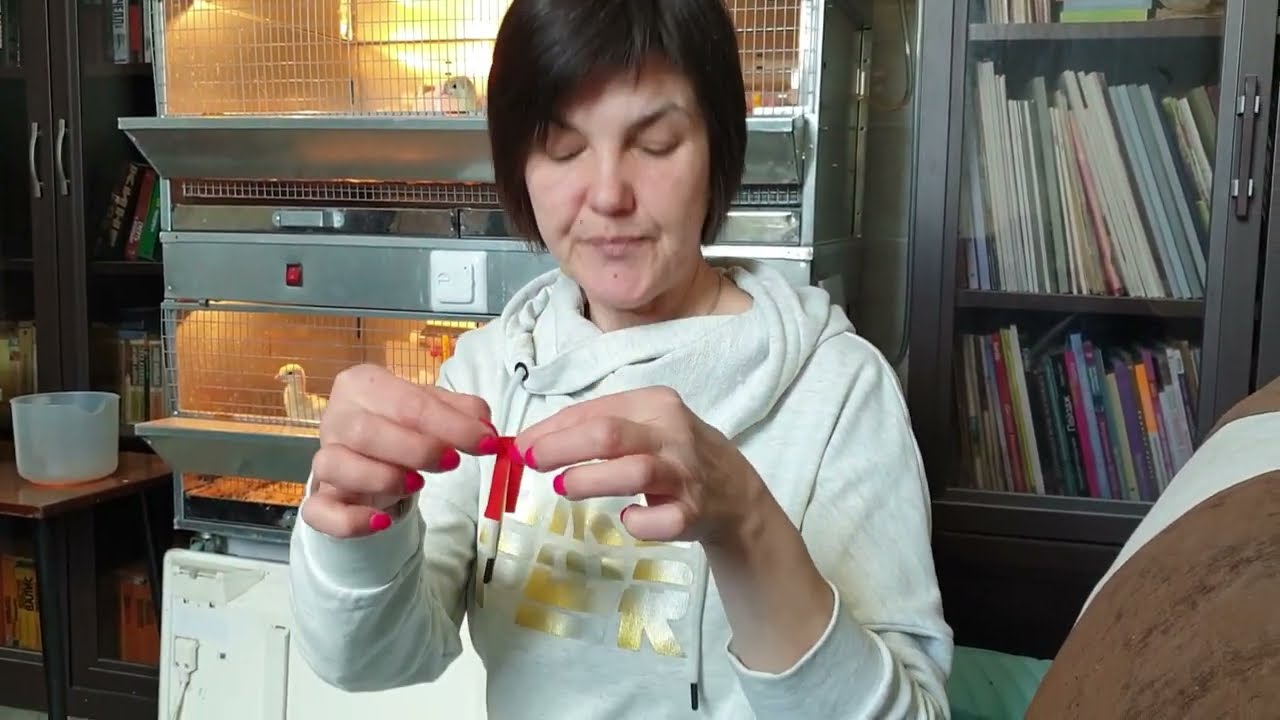 Как поставить на ноги индюшонка. За три дня из 