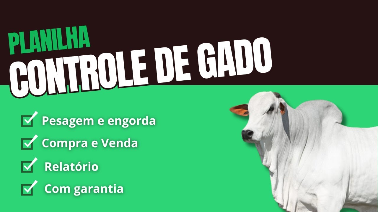 Planilha Controle de Gado - A MAIS COMPLETA