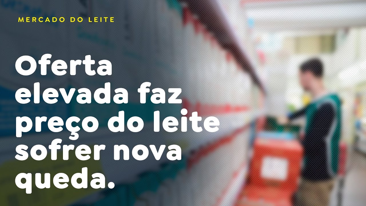 Oferta elevada faz pre&ccedil;o do leite sofrer nova queda