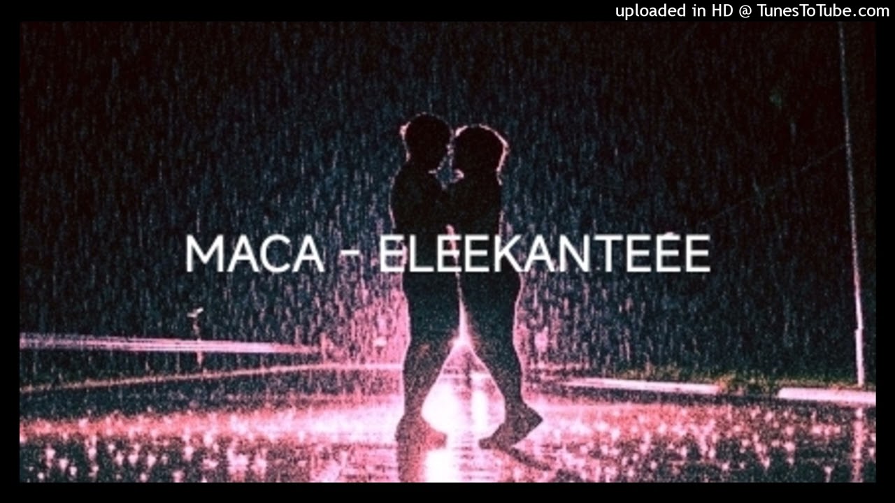MACA - ELEEKANTEEE