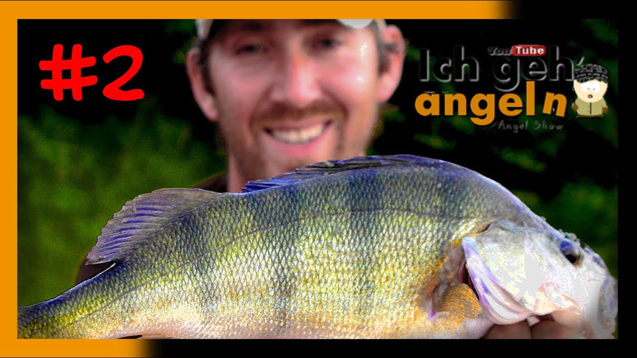 Barschangeln | Erfolgreich im Sommer
