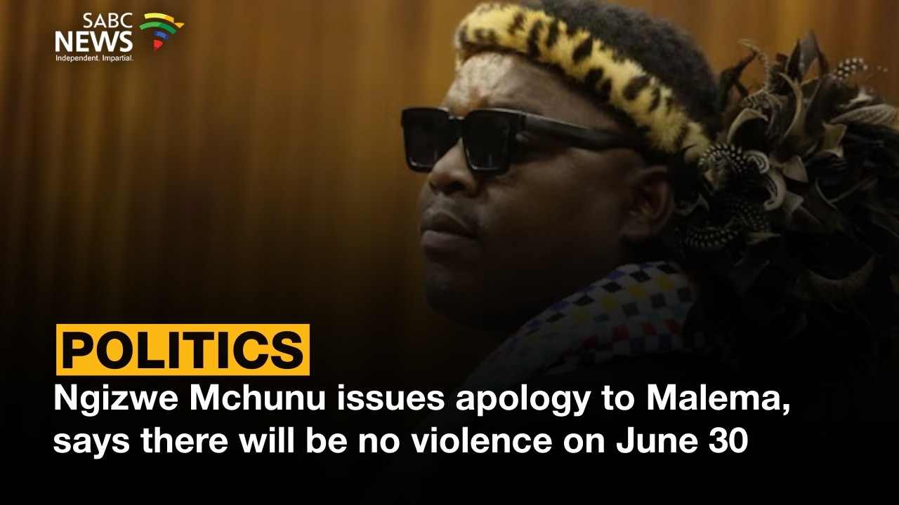 Ngizwe Mchunu issues apology to Malema, says there will be no violence on June 30