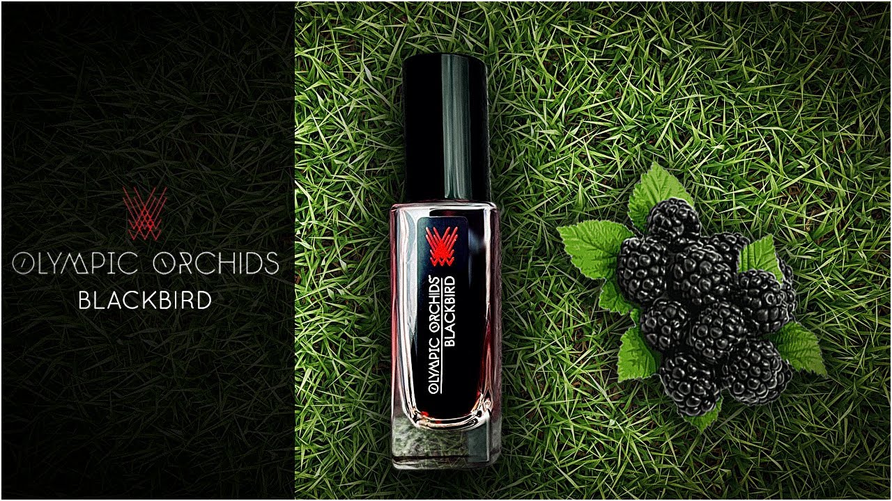 |Perfume Olympic Orchids Blackbird ● EXPECTACULAR 🍒  | Saludos Aromáticos