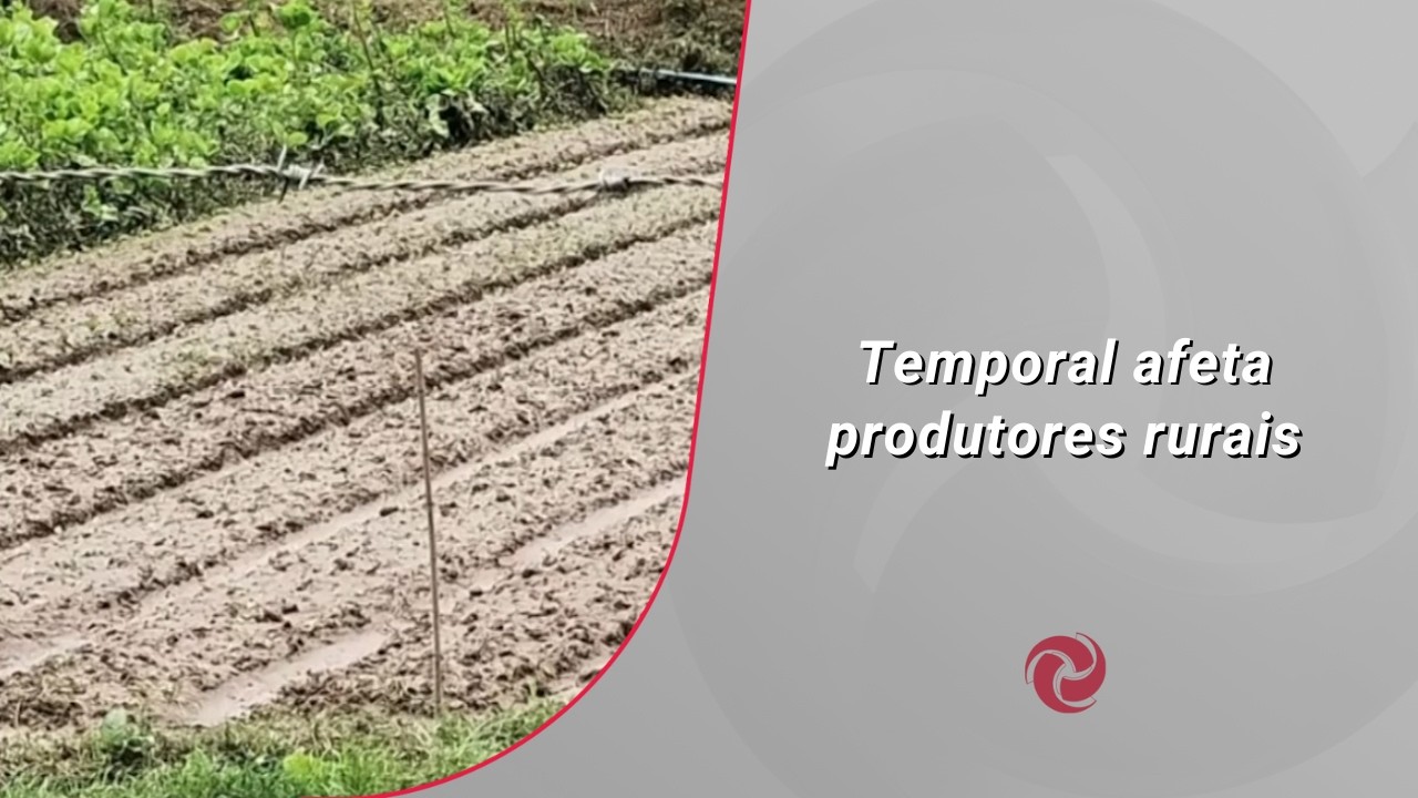 Temporal afeta produtores rurais