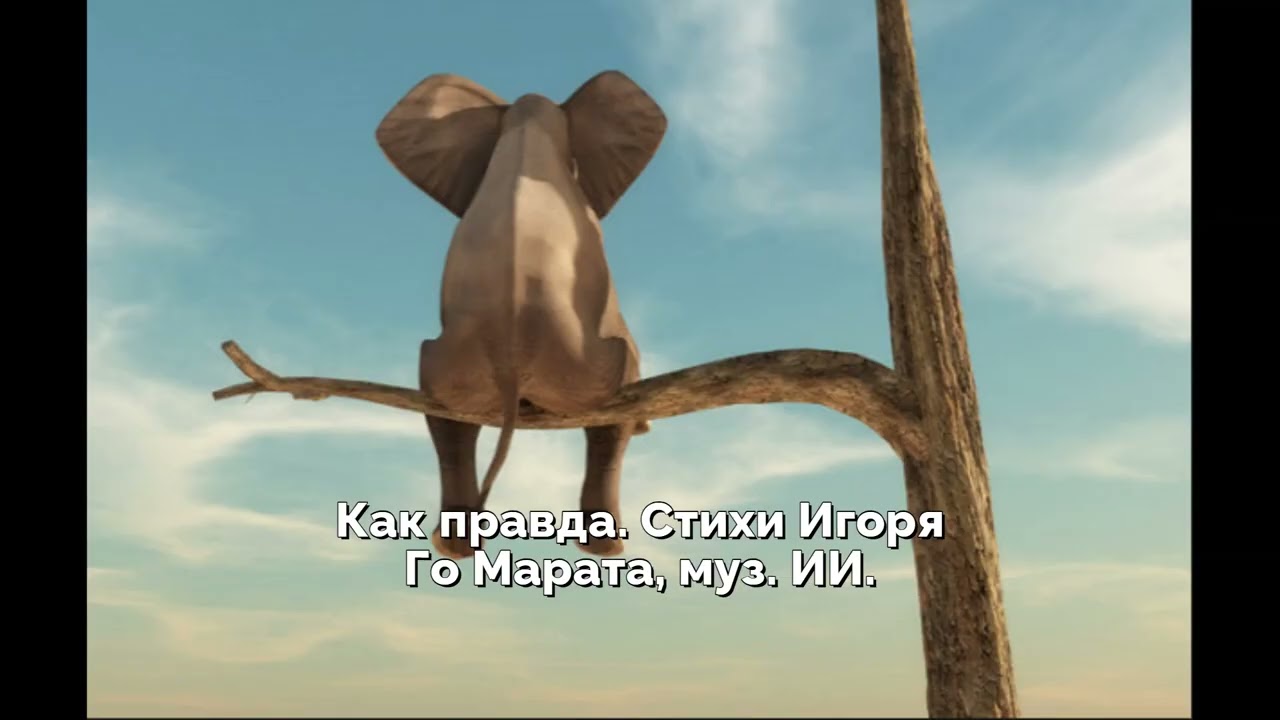 Как правда  Стихи Игоря Го Марата, муз  ИИ