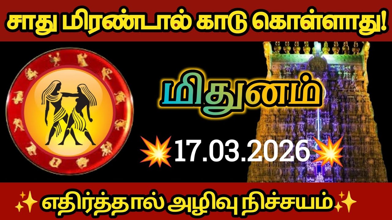மிதுனம் - சாது மிரண்டால் காடு கொள்ளாது எதிர்த்தால் அழிவு நிச்சயம்!