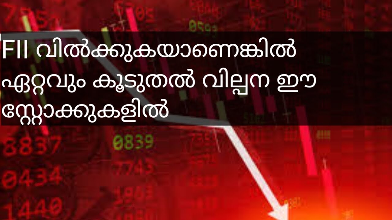 FII Holding stocks / Top 10 Holdings of FII&rsquo;s