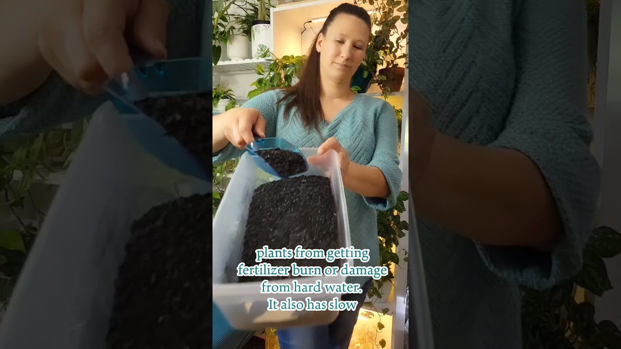 Древесный уголь для комнатных растений! 🤩 #шорты