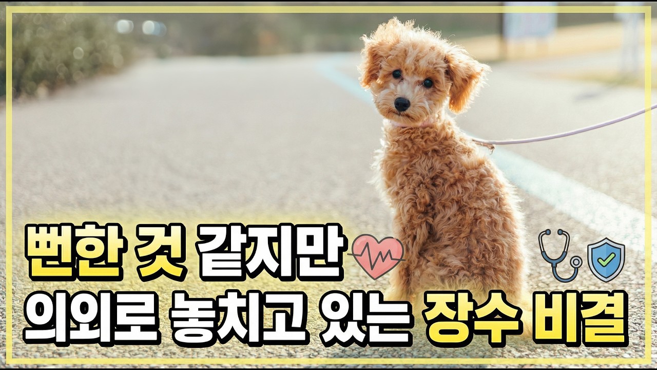 강아지 15살 넘기려면 꼭 알아야 할 5가지