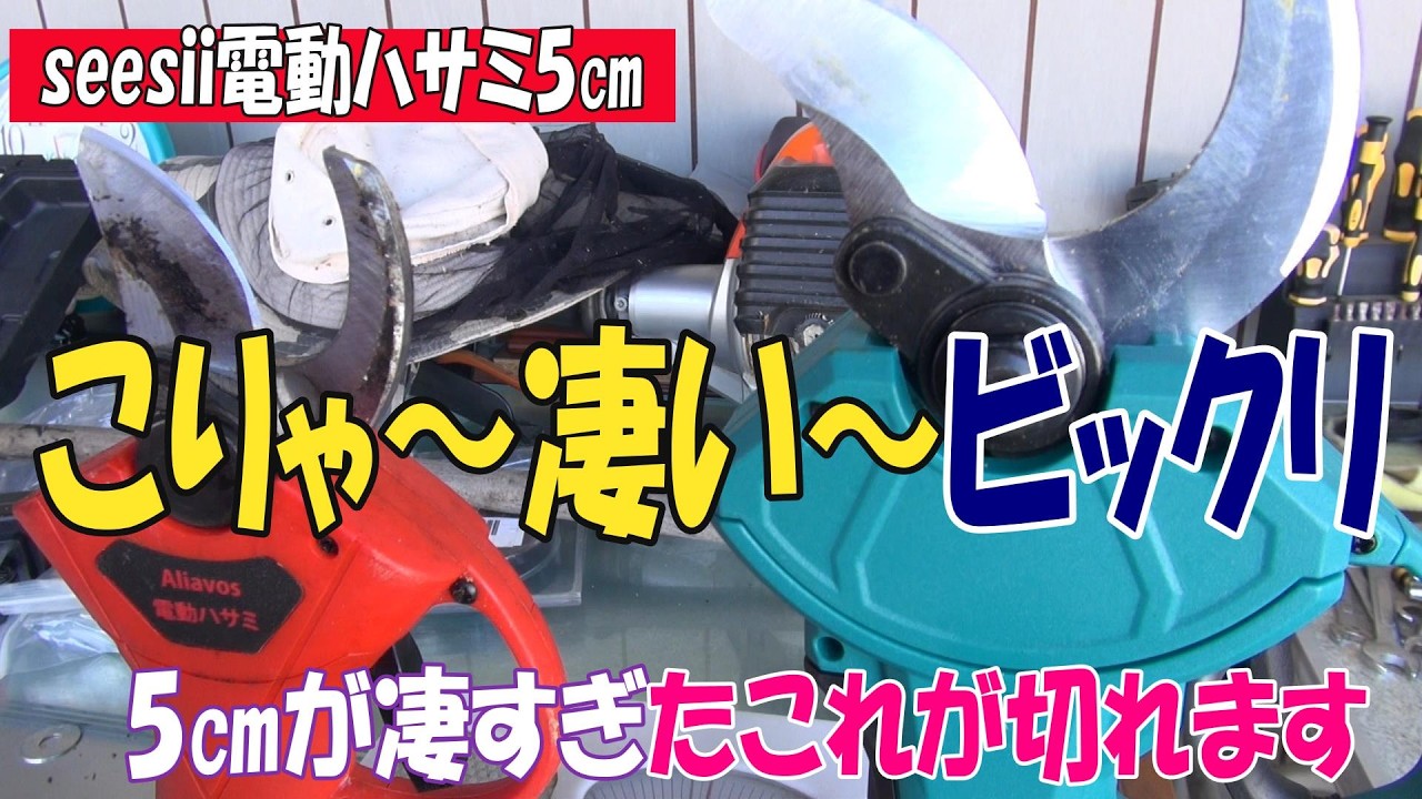 開封動画です。seesiiの電動ハサミを仕入れました。3㎝の電動はさみは持ってましたがもう少し大きく切りたいので5㎝タイプを仕入れましたｗこれが使ってビックリ結構な太い木をバッサリですｗ