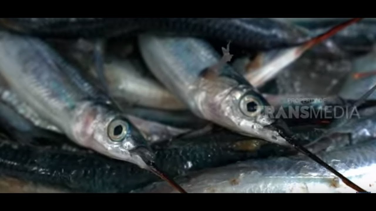 Ikan Roa Asap dan Sambal Roa Yang Sedap