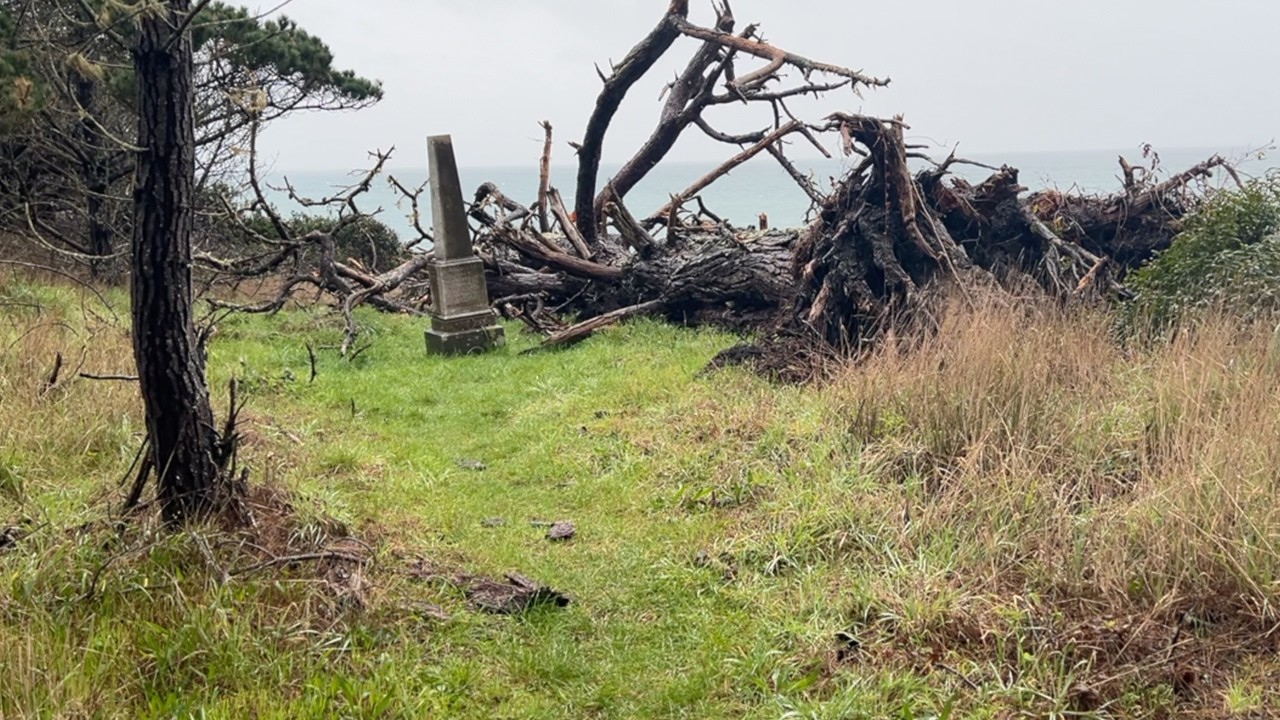 Fisk Mill Cemetery at Gorgeous Salt Point State Park!