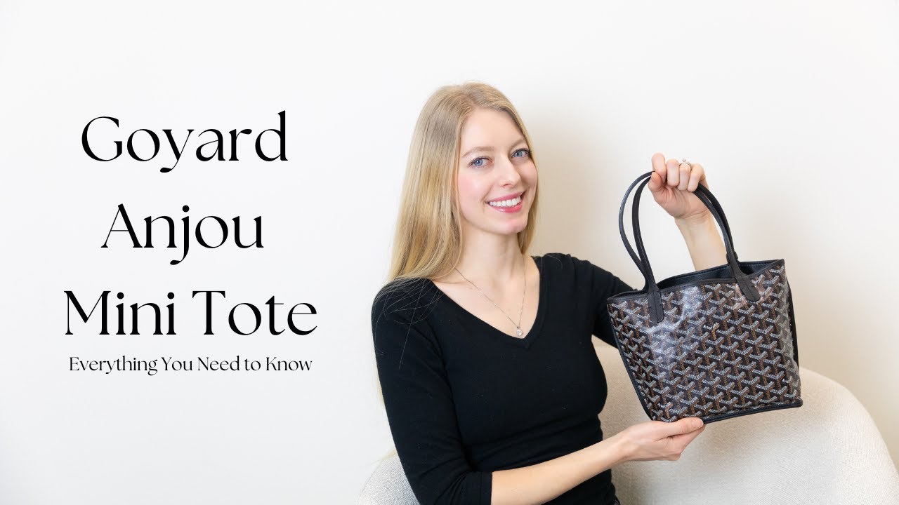 Goyard Anjou Mini Tote Bag In Depth Overview