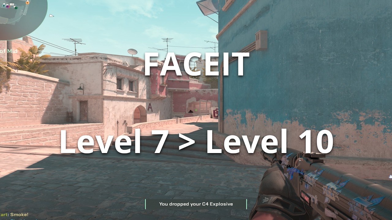 What happens when you put a FACEIT Level 7 in Level 10 lobbies?