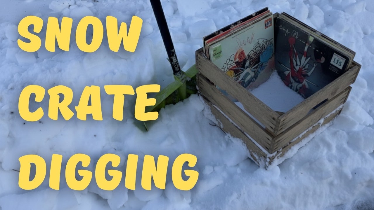 How To Find Samples In The Snow