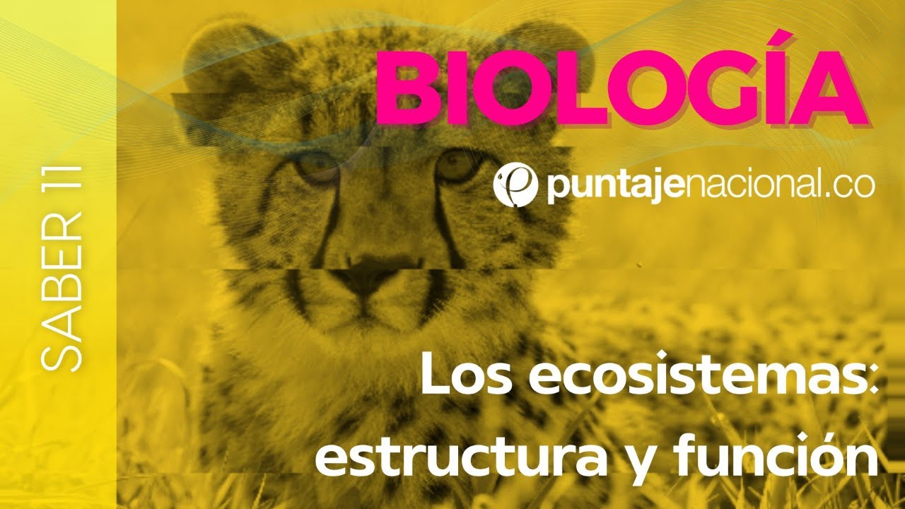 SABER 11 - ICFES | Ciencias Naturales Biología | Los ecosistemas: estructura y función