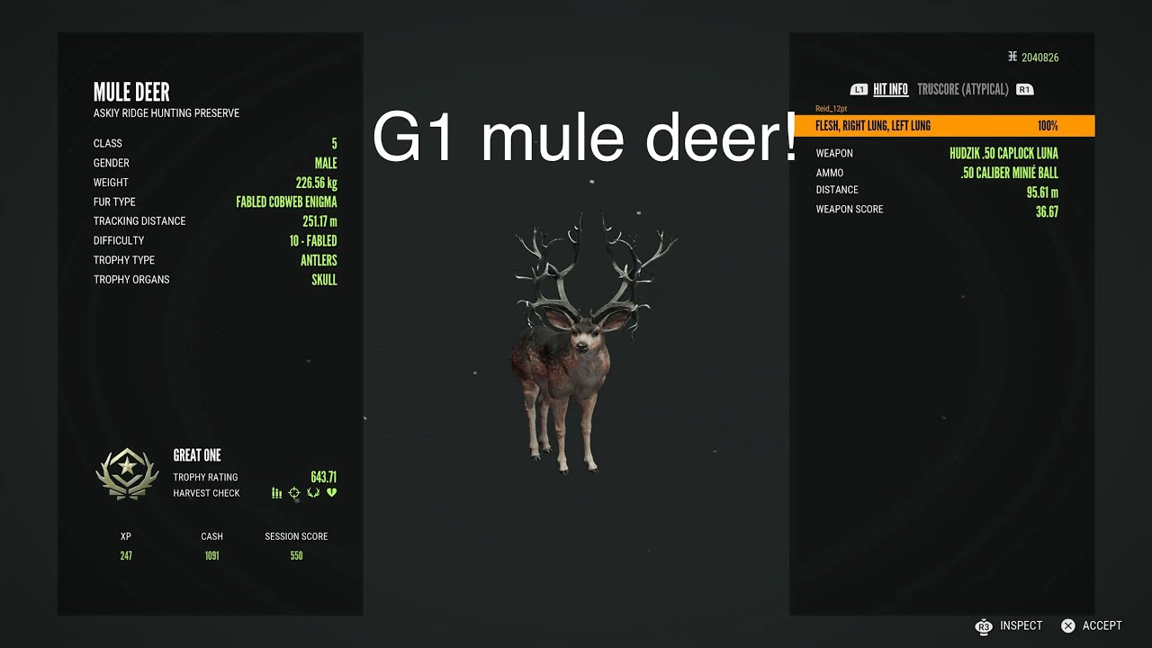 Мой первый олень-мул из G1!!! #youtube #muledeer #gaming