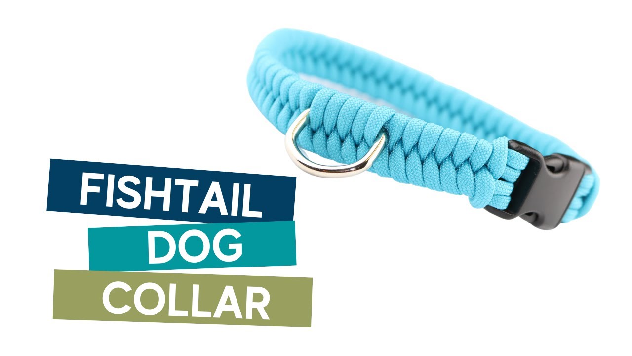 HOW TO MAKE A SWITCHBACK(FISHTAIL) PARACORD DOG COLLAR TUTORIAL.