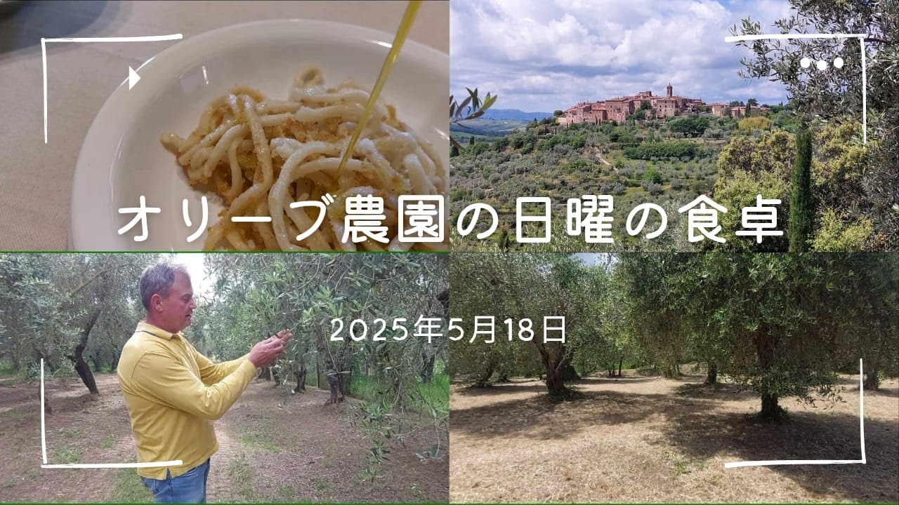 【シエナ】オリーブ農園｜手作りパスタと家族の時間｜田舎の食卓に癒された日曜の午後