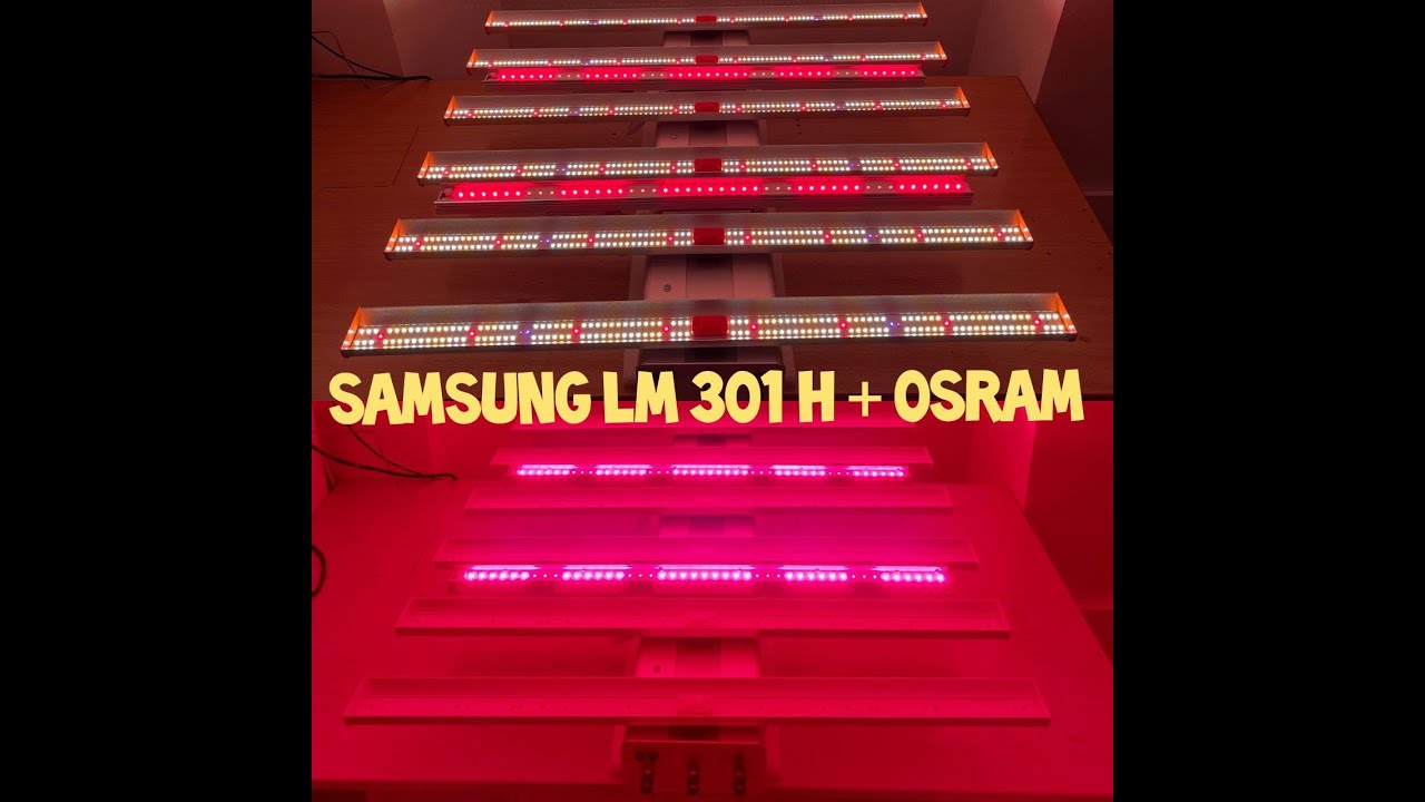 Top Quantum bar spyder 610 w Super Bloom МАКСИМАЛЬНЫЙ УРОЖАЙ топовая комплектация из линейных ламп