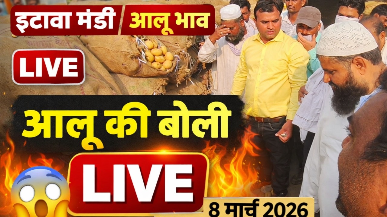 इटावा मंडी में आलू की बोली LIVE | आज का आलू भाव 8 मार्च 2026 | Potato Auction Etawah Mandi