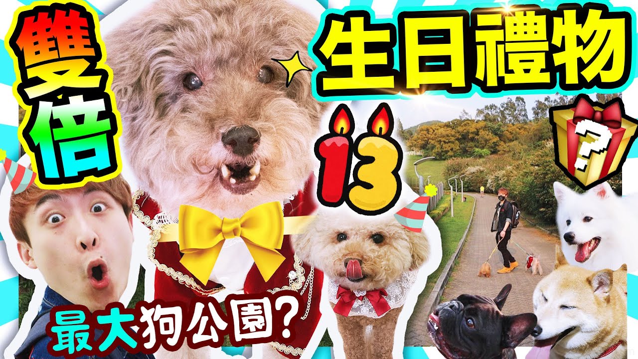 【將軍澳最大狗公園🐶】為Muffin準備的「雙倍生日禮物🥳」最受歡迎的一刻♥️遇上喜歡XX的狗狗！🙈(中字) #下集