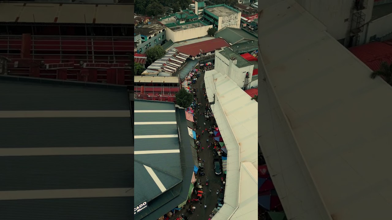 Libertad Public Market Bacolod City Aerial