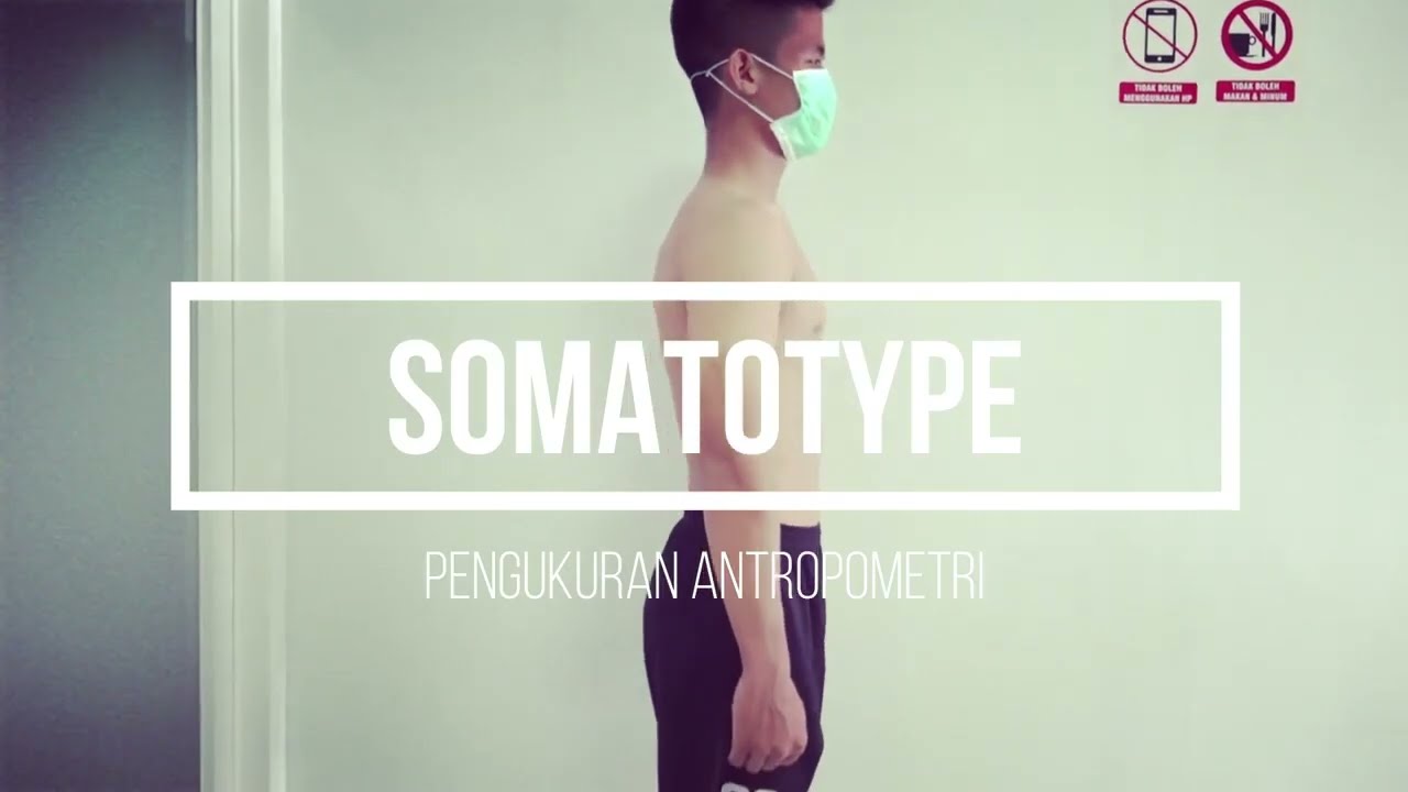 Somatotype 2