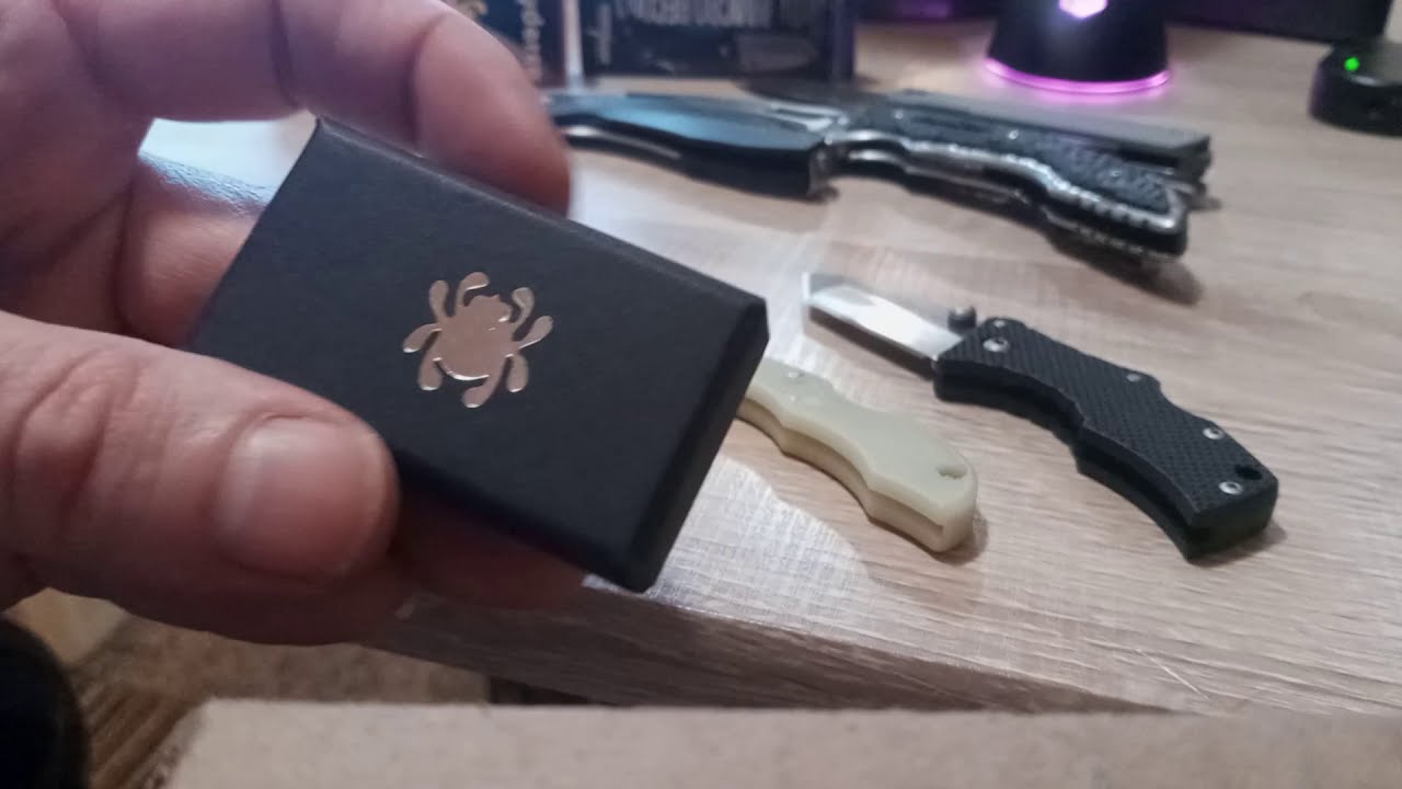 Spyderco bug stainless steel mini folding keychain knife