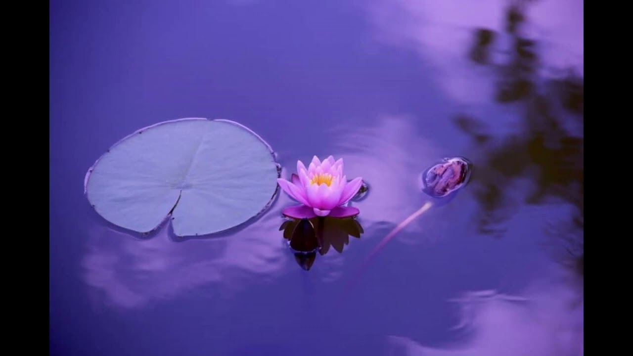 Adyashanti: mind misinterprets it as depression but in the moment, 