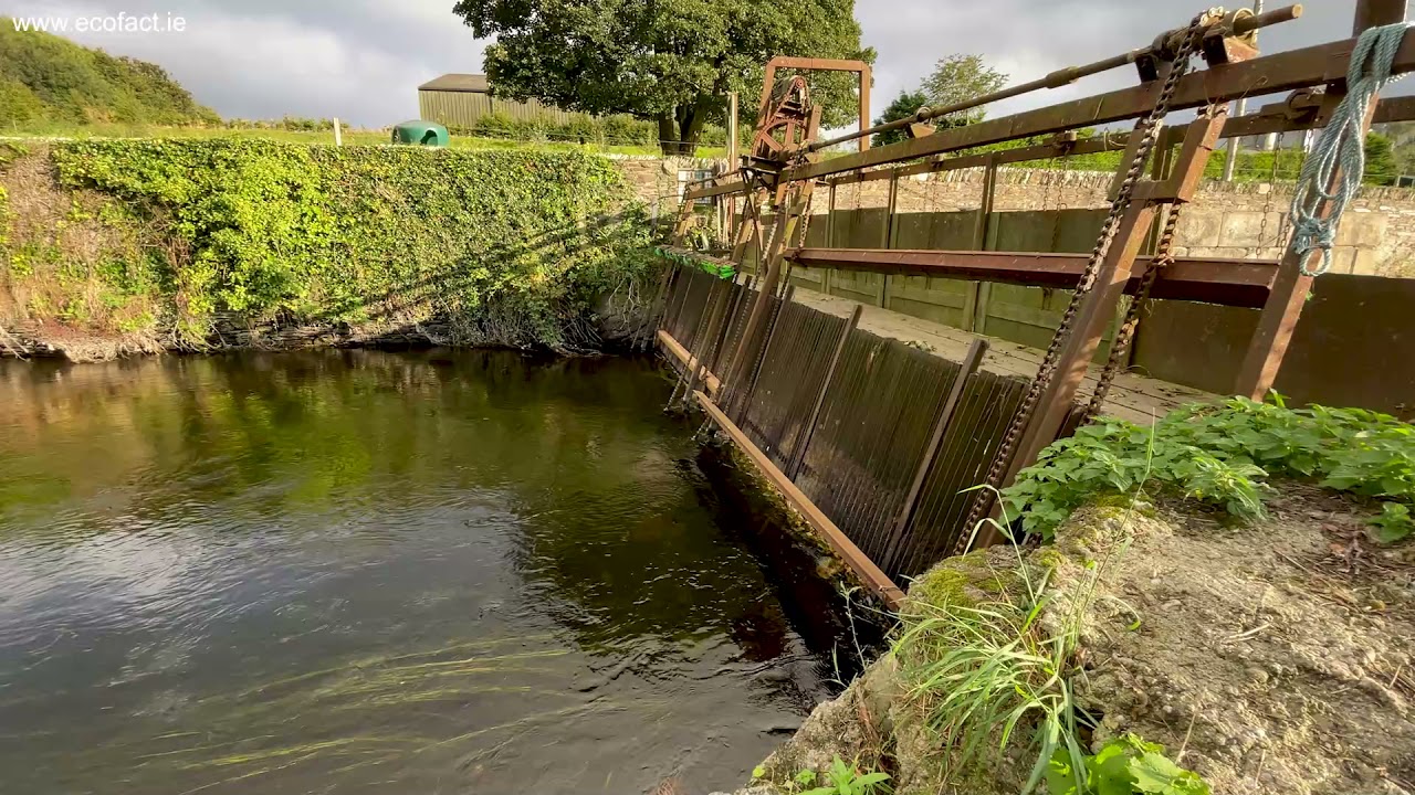 Clohamon hydroelectric scheme in the Slaney River Valley SAC