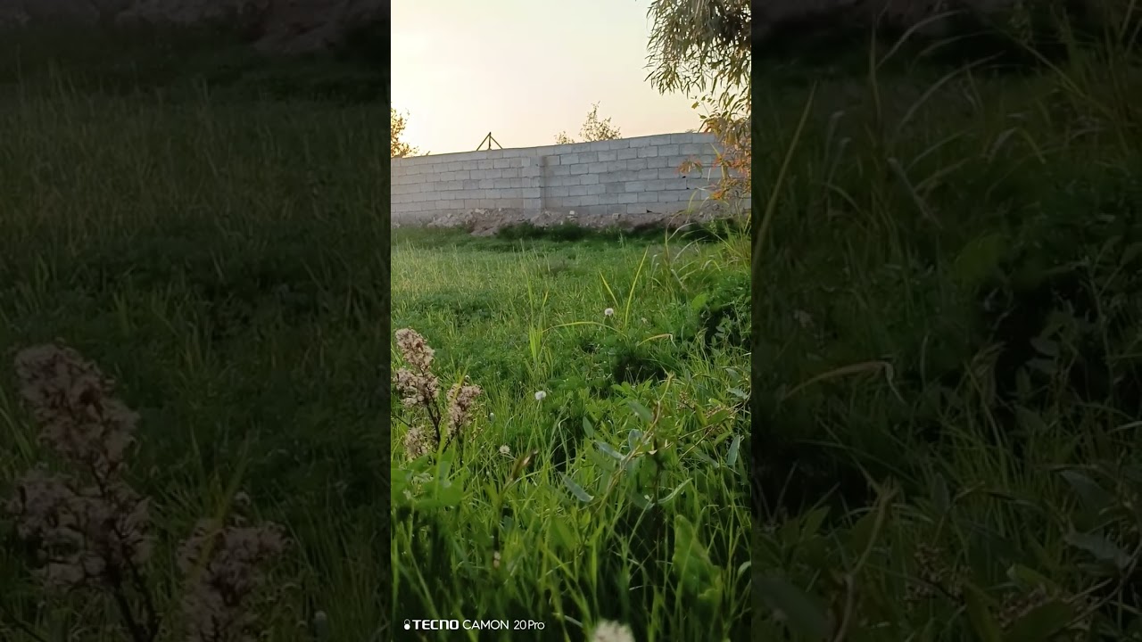 طريقة نجاح زراعة الارض الميتة بسبب تراكم الاملاح باستخدام بعض الاسمدة الخاصة (الحلقة الاخيرة)