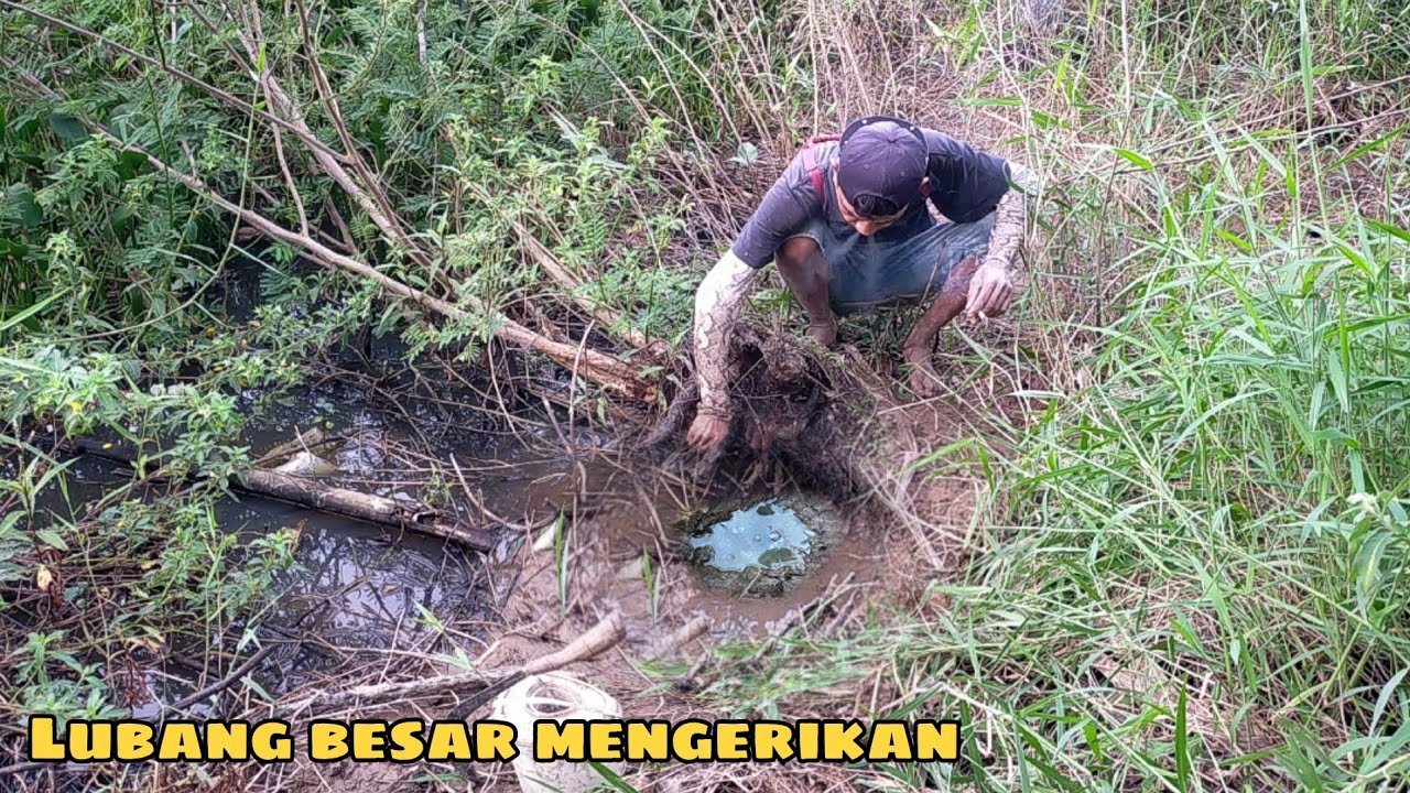 MANCING BELUT DI RAWA‼️NEMU LUBANG BESAR YANG ENTAH APA ISI NYA