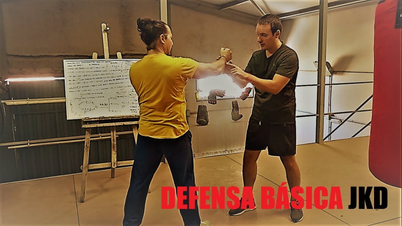 Artes marciales: Defensa Básica y contras, Jeet Kune Do