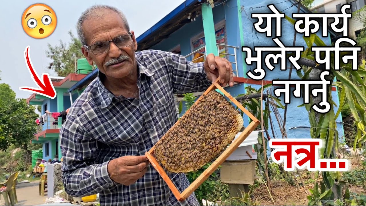 मौरी अवलोकन गर्ने सहि तरिका 😍 | Observe Bees By This Way | Nepal Bee Keeping |