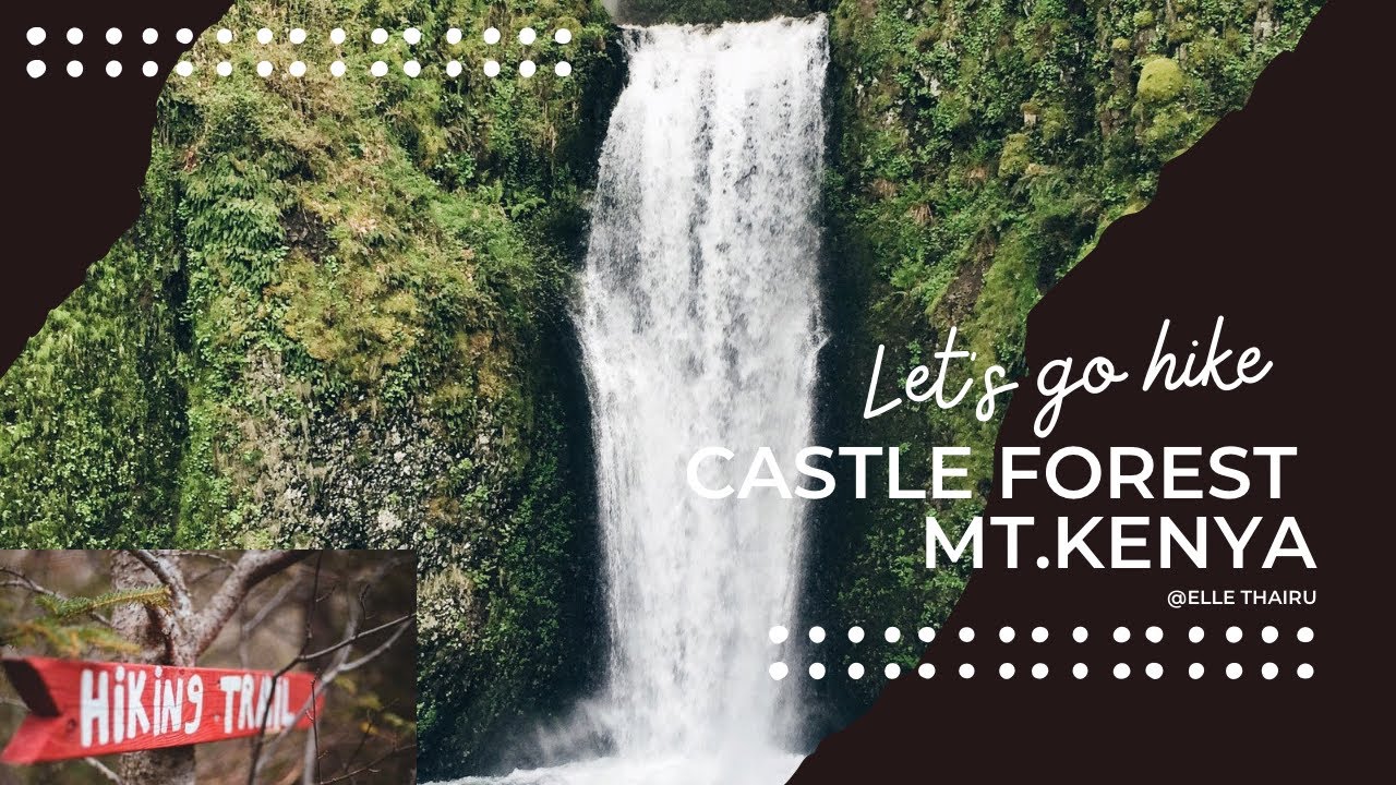 HIKING VLOG🥾 | CASTLE FOREST LODGE | MT.KENYA | CONNECTING WITH NATURE