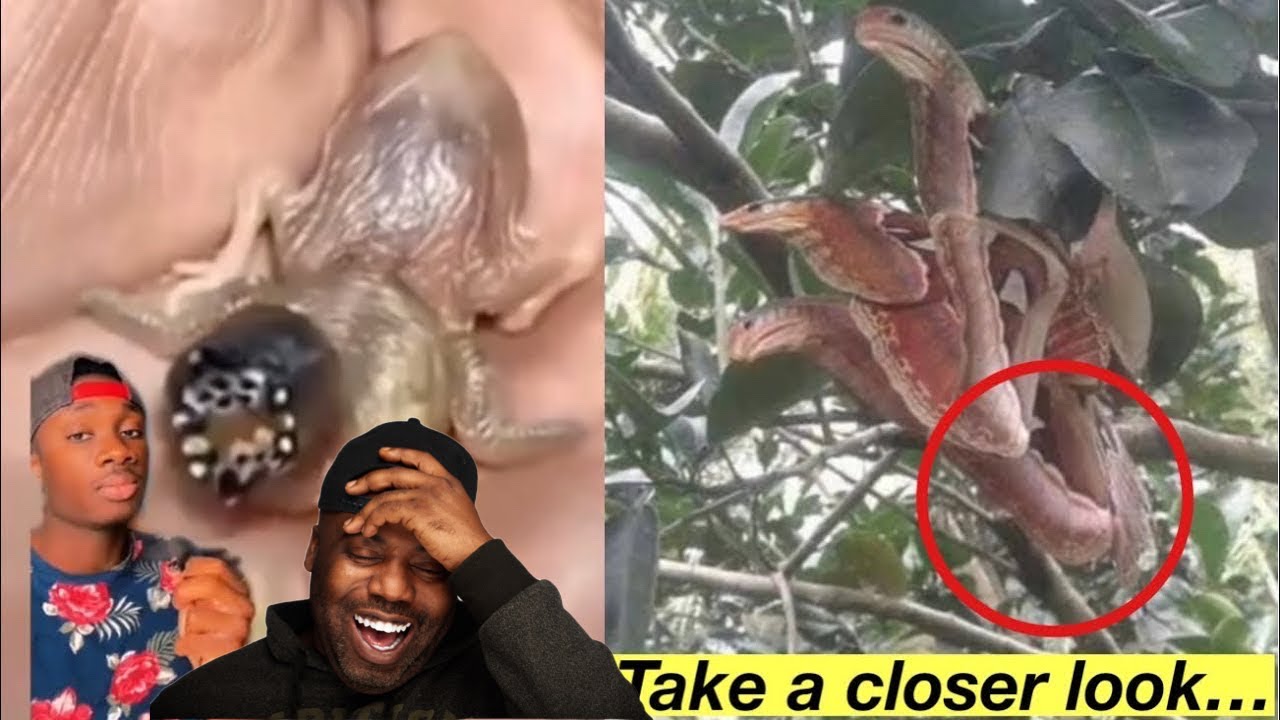 When Nature Gets a Little Too Creative…