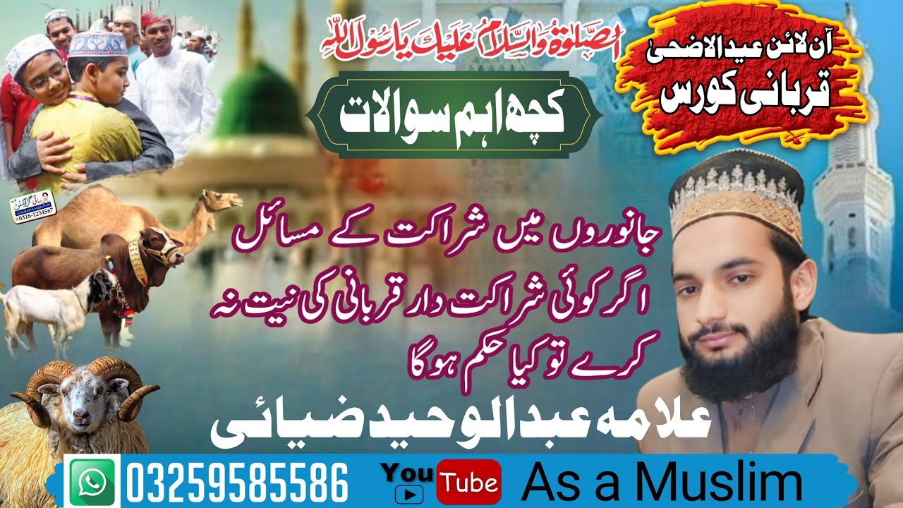 جانوروں میں حصے کے مسائل۔  اگر کوئی شخص قربانی کی نیت نہ کرے تو کیا حکم ہے#قربانی #اسلام #allah