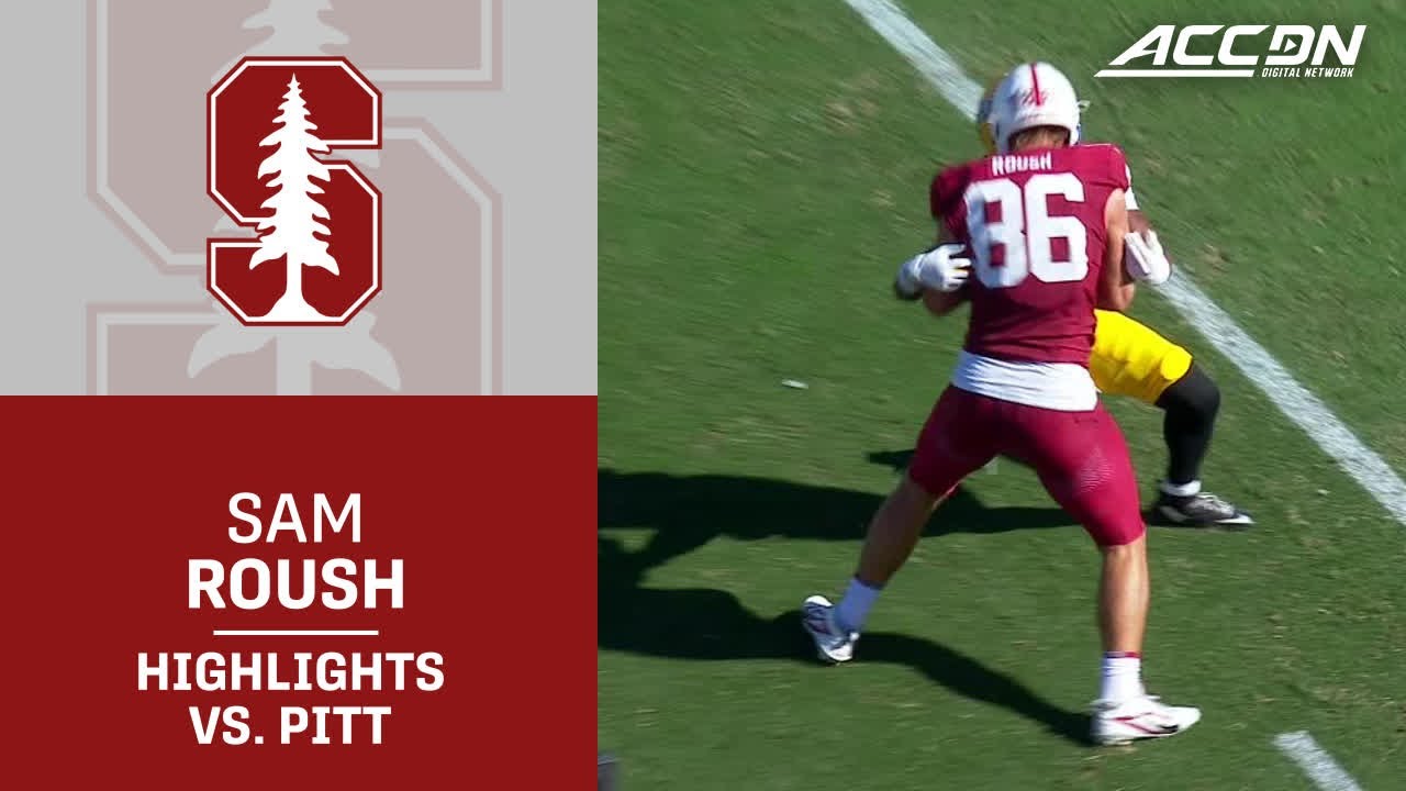 Stanford TE Sam Roush Highlights vs. Pitt