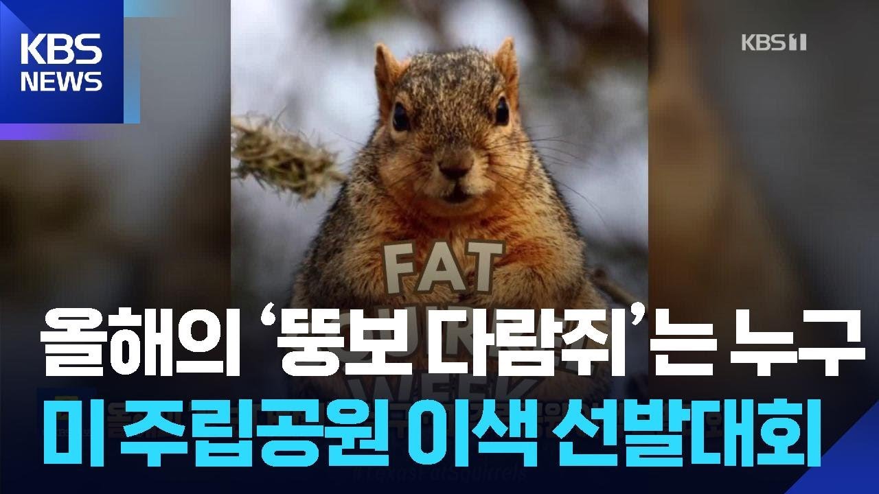 올해의 &lsquo;뚱보 다람쥐&rsquo;는 누구&hellip;미 주립공원 이색 선발대회 [잇슈 SNS]  / KBS  2025.10.29.