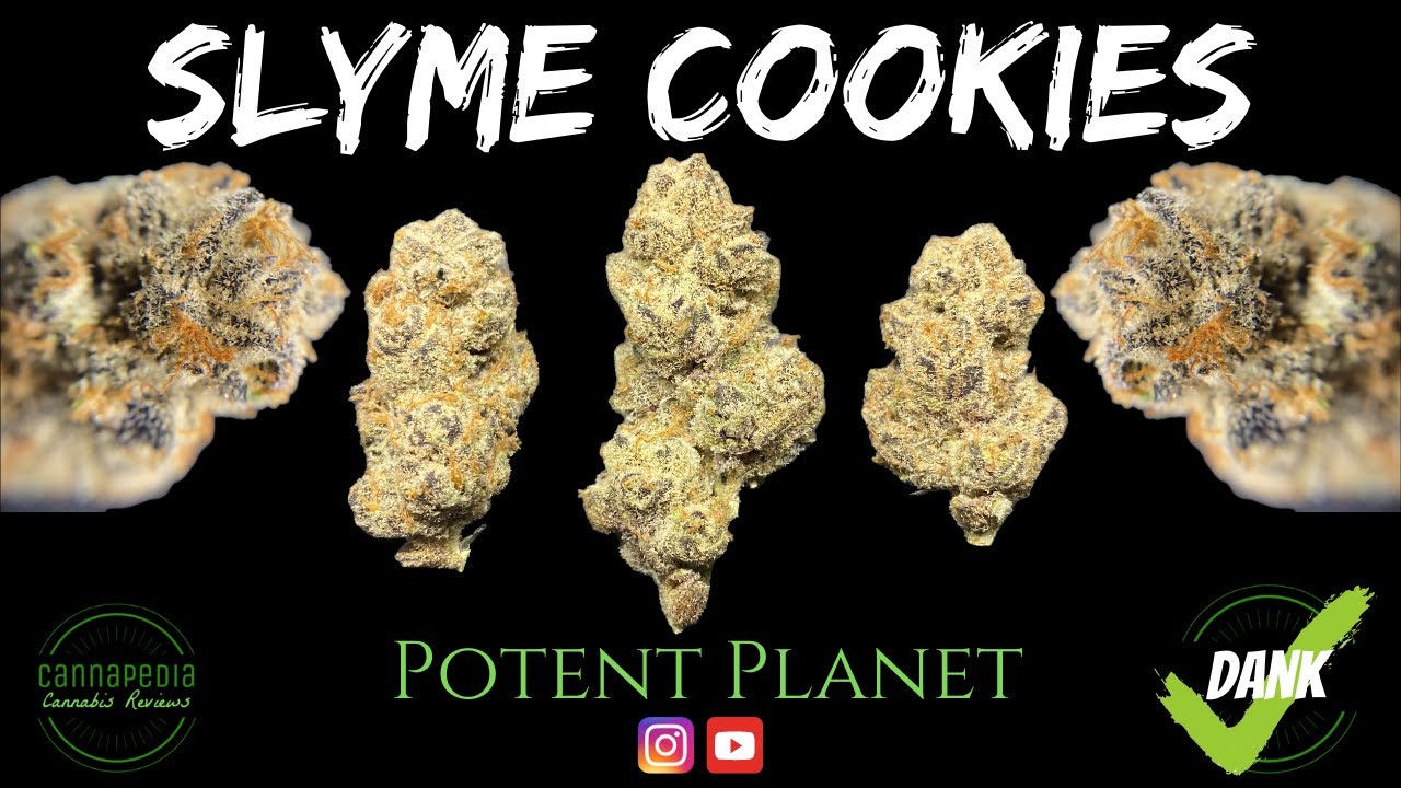 Slyme Cookies Strain Review - Potent Planet - Cannapedia