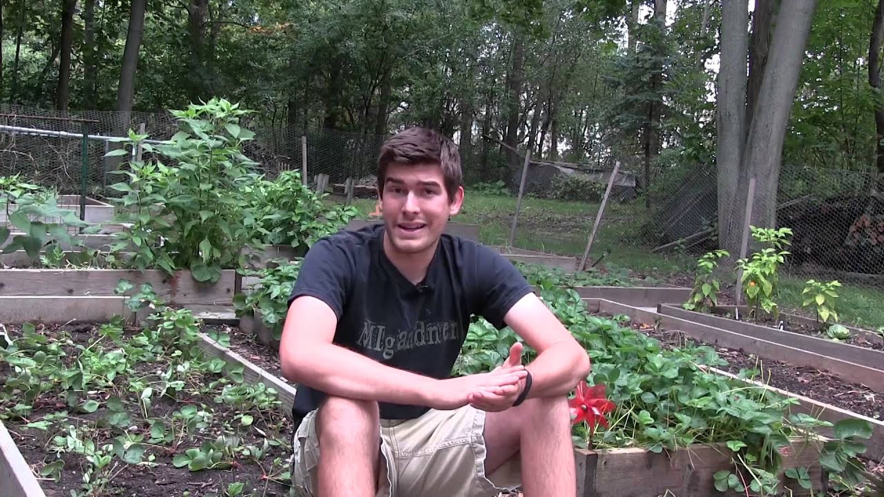 3 Cheap and Simple Ways To Prep Your Garden For Winter & Spring