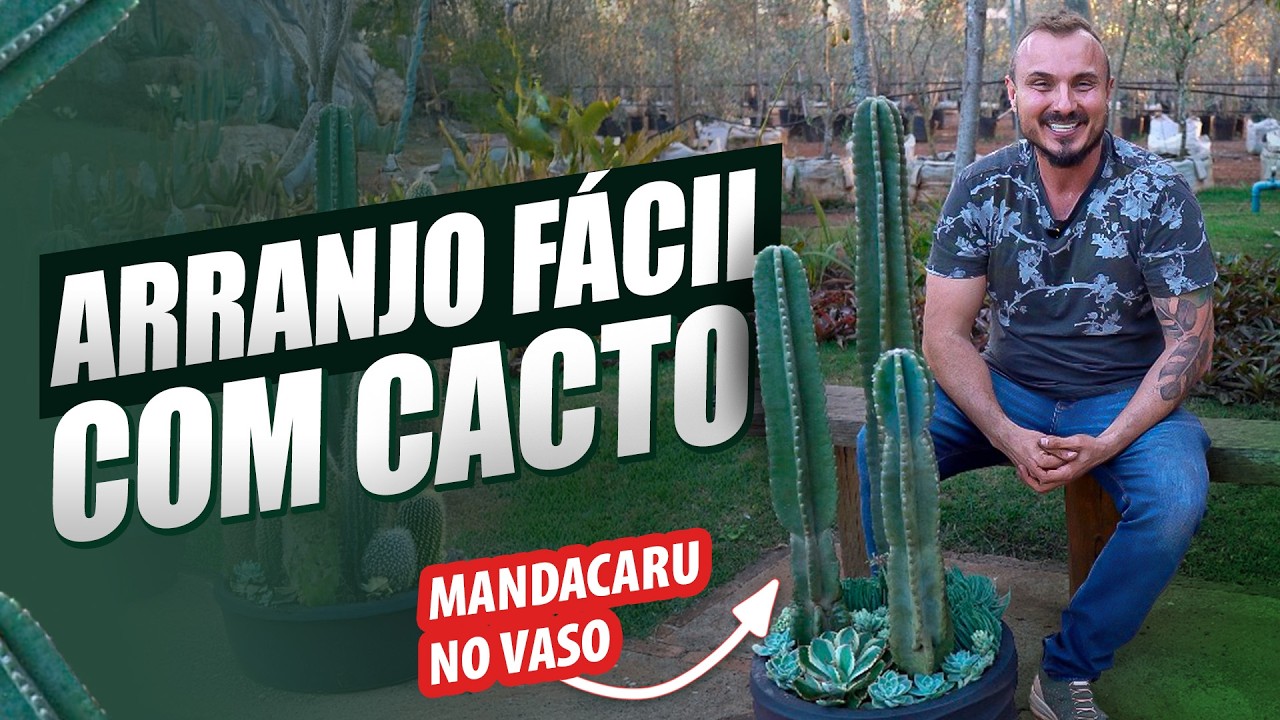 APRENDA a fazer Arranjo de CACTOS sem espinhos | Fácil e Escultural